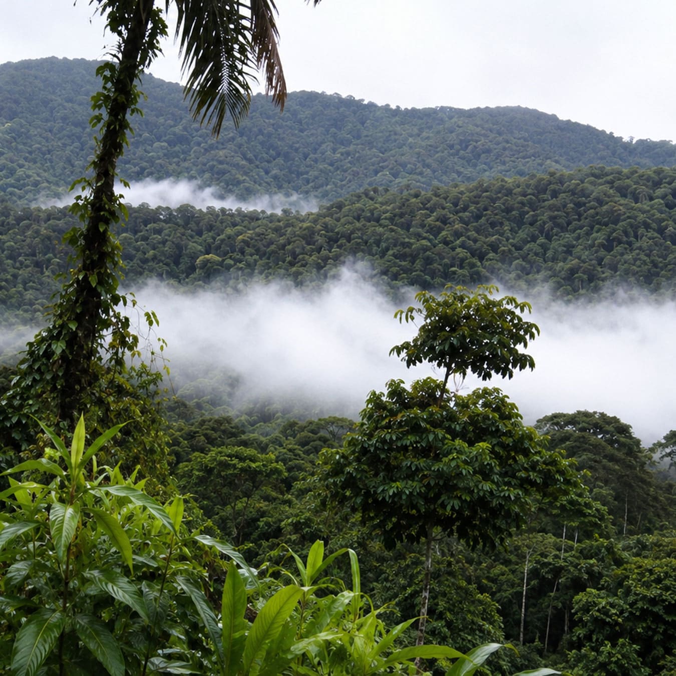 Peruvian Family Trip